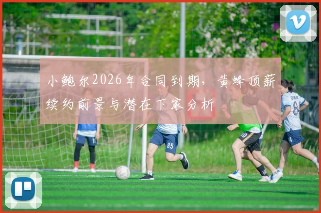 小鲍尔2026年合同到期，黄蜂顶薪续约前景与潜在下家分析