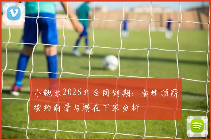 小鲍尔2026年合同到期，黄蜂顶薪续约前景与潜在下家分析