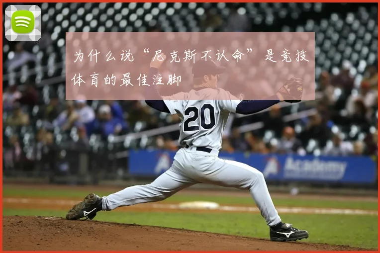 为什么说“尼克斯不认命”是竞技体育的最佳注脚