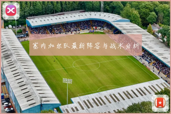 塞内加尔队最新阵容与战术分析